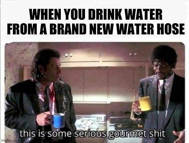 Dad jokes | WHEN YOU DRINK WATER FROM A BRAND NEW WATER HOSE | image tagged in funny memes | made w/ Imgflip meme maker