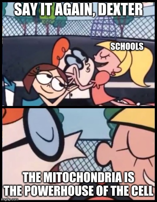 Say it Again, Dexter Meme | SAY IT AGAIN, DEXTER; SCHOOLS; THE MITOCHONDRIA IS THE POWERHOUSE OF THE CELL | image tagged in memes,say it again dexter | made w/ Imgflip meme maker