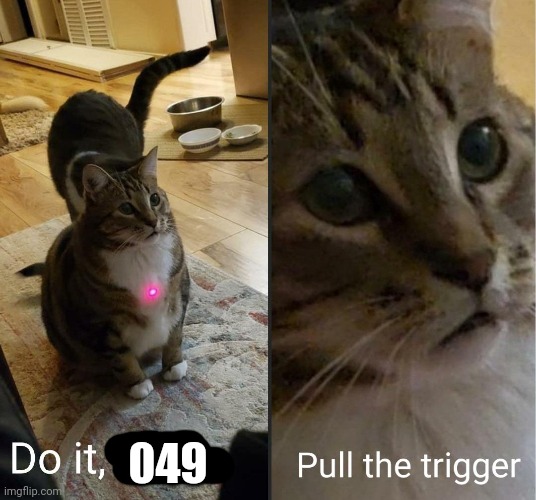 do it debra, pull the trigger | 049 | image tagged in do it debra pull the trigger | made w/ Imgflip meme maker