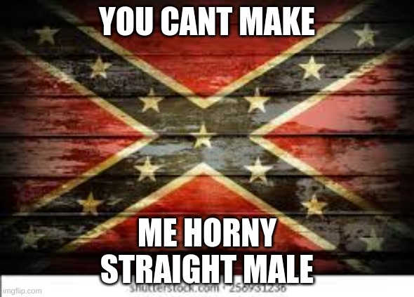 YOU CANT MAKE; ME HORNY
STRAIGHT MALE | made w/ Imgflip meme maker