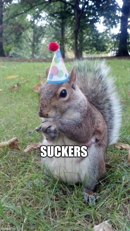 Super Birthday Squirrel Meme | SUCKERS | image tagged in memes,super birthday squirrel | made w/ Imgflip meme maker