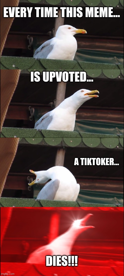 Nobody likes TikTokers | EVERY TIME THIS MEME... IS UPVOTED... A TIKTOKER... DIES!!! | image tagged in memes,inhaling seagull | made w/ Imgflip meme maker