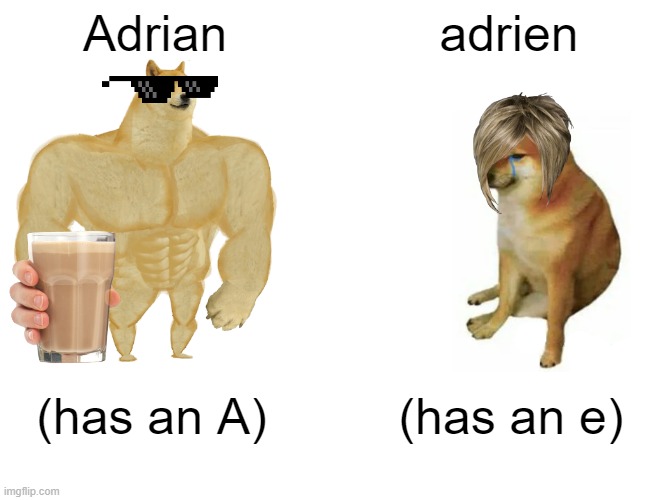 Adriens with an e i do not mean to disrespect | Adrian; adrien; (has an A); (has an e) | image tagged in memes,buff doge vs cheems | made w/ Imgflip meme maker