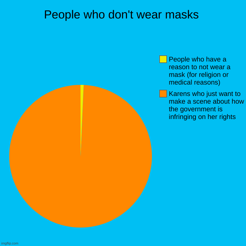 People who don't wear masks | Karens who just want to make a scene about how the government is infringing on her rights, People who have a r | image tagged in charts,pie charts | made w/ Imgflip chart maker