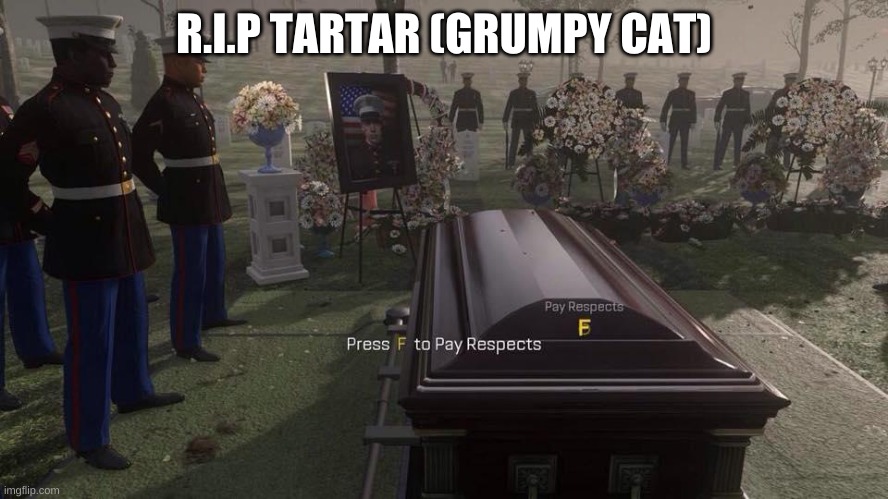 Press F to Pay Respects | R.I.P TARTAR (GRUMPY CAT) | image tagged in press f to pay respects | made w/ Imgflip meme maker