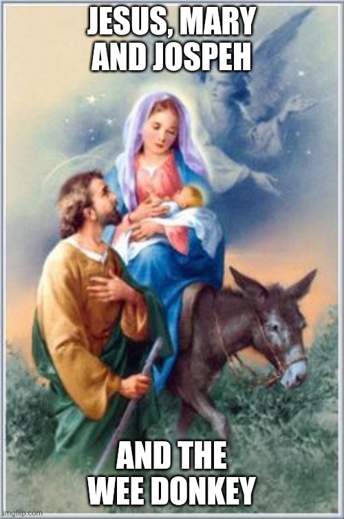 Line of Duty | JESUS, MARY AND JOSPEH; AND THE WEE DONKEY | image tagged in funny,funny memes | made w/ Imgflip meme maker