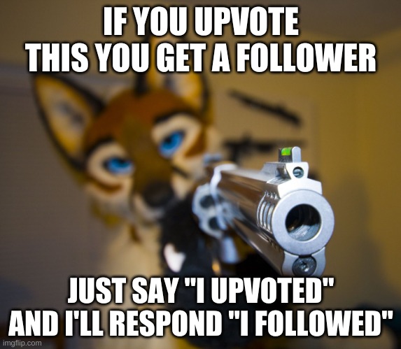 It works. trust me. | IF YOU UPVOTE THIS YOU GET A FOLLOWER; JUST SAY "I UPVOTED" AND I'LL RESPOND "I FOLLOWED" | image tagged in furry with gun | made w/ Imgflip meme maker