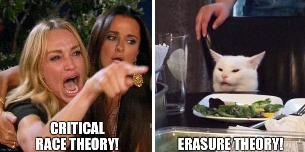 Critical race theory | CRITICAL RACE THEORY! ERASURE THEORY! | image tagged in smudge the cat,critical race theory | made w/ Imgflip meme maker