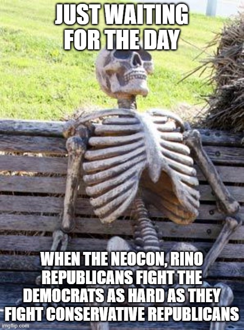 Waiting Skeleton | JUST WAITING FOR THE DAY; WHEN THE NEOCON, RINO REPUBLICANS FIGHT THE DEMOCRATS AS HARD AS THEY FIGHT CONSERVATIVE REPUBLICANS | image tagged in memes,waiting skeleton | made w/ Imgflip meme maker