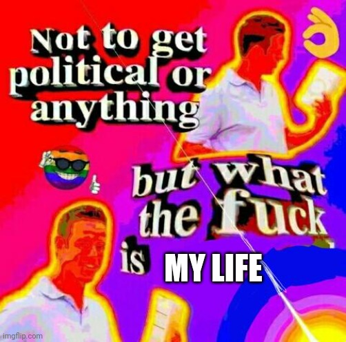 Not to get political but tf | MY LIFE | image tagged in not to get political but tf | made w/ Imgflip meme maker