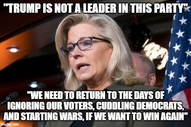 Liz Cheney | "TRUMP IS NOT A LEADER IN THIS PARTY"; "WE NEED TO RETURN TO THE DAYS OF IGNORING OUR VOTERS, CUDDLING DEMOCRATS, AND STARTING WARS, IF WE WANT TO WIN AGAIN" | image tagged in liz cheney | made w/ Imgflip meme maker
