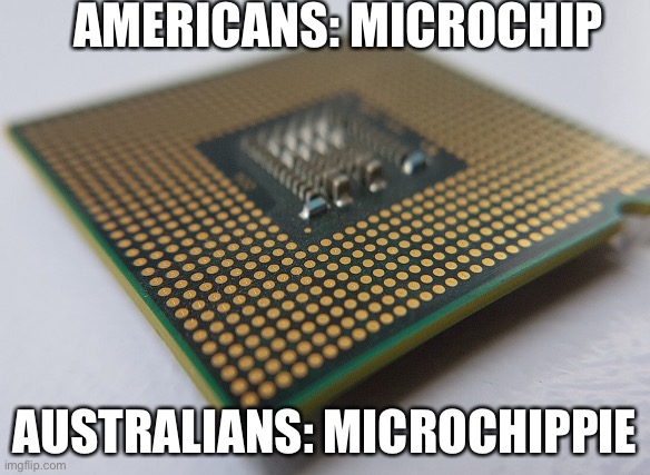 Ummm | AMERICANS: MICROCHIP; AUSTRALIANS: MICROCHIPPIE | image tagged in funny | made w/ Imgflip meme maker