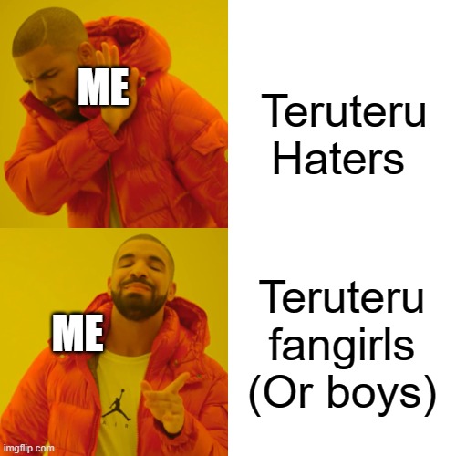 Drake Hotline Bling Meme | Teruteru Haters; ME; Teruteru fangirls (Or boys); ME | image tagged in memes,drake hotline bling | made w/ Imgflip meme maker