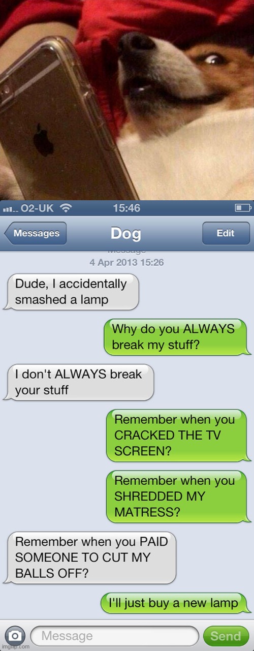 Dog Texting Owner... Part 2! (Part 1 is in MEMES_OVERLOAD) | image tagged in funny,memes,gifs,pie charts,dog texting | made w/ Imgflip meme maker