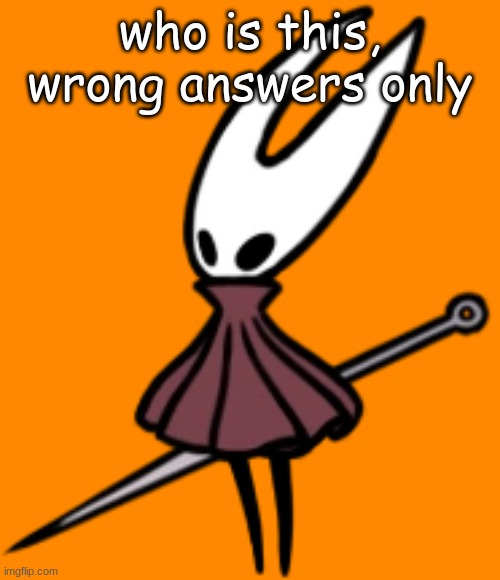 hronet | who is this, wrong answers only | image tagged in hornet | made w/ Imgflip meme maker