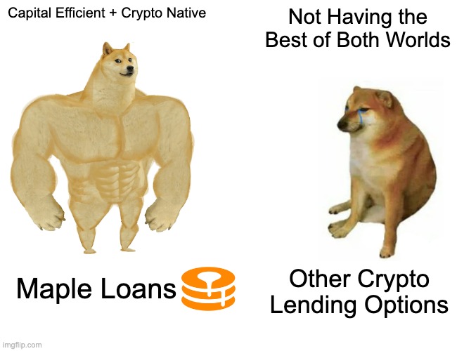 Buff Doge vs. Cheems Meme | Capital Efficient + Crypto Native; Not Having the Best of Both Worlds; Other Crypto Lending Options; Maple Loans | image tagged in memes,buff doge vs cheems | made w/ Imgflip meme maker