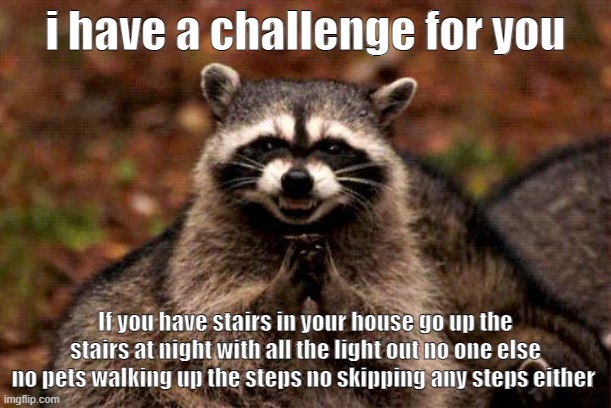 Evil Plotting Raccoon | i have a challenge for you; If you have stairs in your house go up the stairs at night with all the light out no one else no pets walking up the steps no skipping any steps either | image tagged in memes,evil plotting raccoon | made w/ Imgflip meme maker