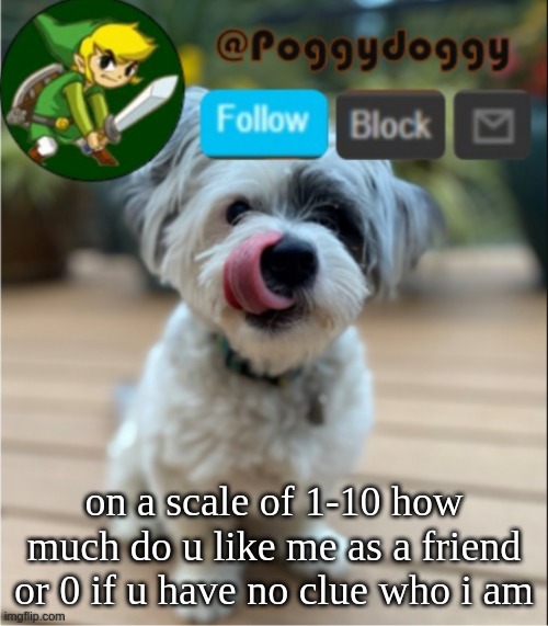 poggydoggy | on a scale of 1-10 how much do u like me as a friend
or 0 if u have no clue who i am | image tagged in poggydoggy | made w/ Imgflip meme maker
