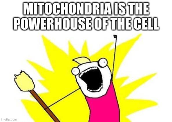 X All The Y Meme | MITOCHONDRIA IS THE POWERHOUSE OF THE CELL | image tagged in memes,x all the y | made w/ Imgflip meme maker