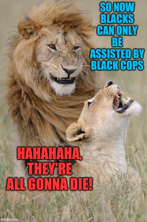 Plotting Lions | SO NOW BLACKS CAN ONLY BE ASSISTED BY BLACK COPS HAHAHAHA, THEY'RE ALL GONNA DIE! | image tagged in plotting lions | made w/ Imgflip meme maker