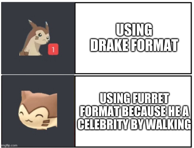 Furret Meme Template | USING DRAKE FORMAT; USING FURRET FORMAT BECAUSE HE A CELEBRITY BY WALKING | image tagged in furret meme template | made w/ Imgflip meme maker