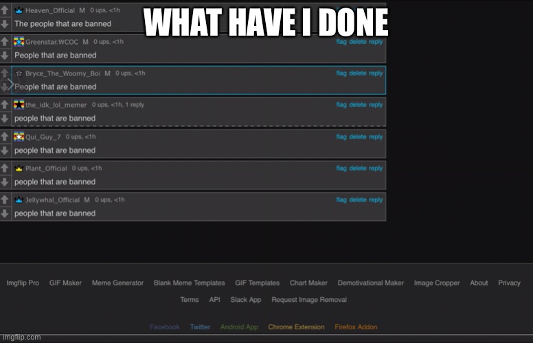 WHAT HAVE I DONE | made w/ Imgflip meme maker