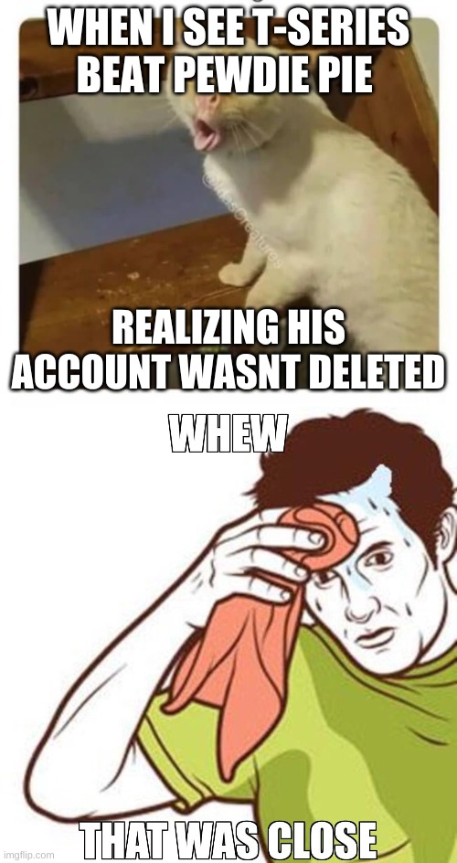 why | WHEN I SEE T-SERIES BEAT PEWDIE PIE; REALIZING HIS ACCOUNT WASNT DELETED | image tagged in coughing cat | made w/ Imgflip meme maker