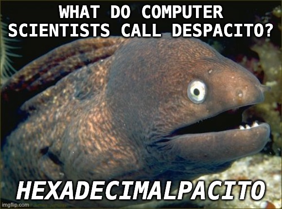 Bad Joke Eel Meme | WHAT DO COMPUTER SCIENTISTS CALL DESPACITO? HEXADECIMALPACITO | image tagged in memes,bad joke eel | made w/ Imgflip meme maker