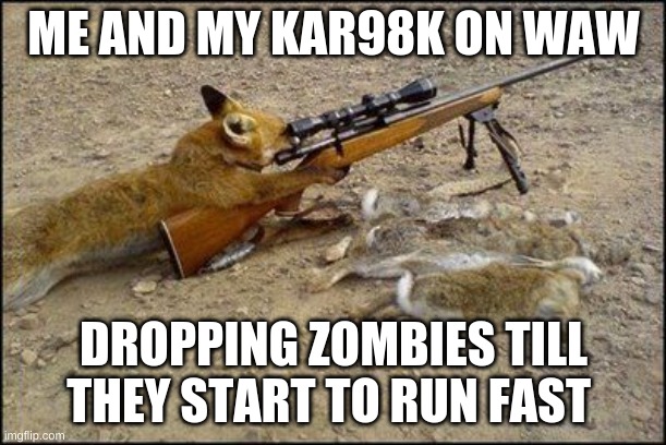 kar98k | ME AND MY KAR98K ON WAW; DROPPING ZOMBIES TILL THEY START TO RUN FAST | image tagged in fox with rifle,zombies memes | made w/ Imgflip meme maker