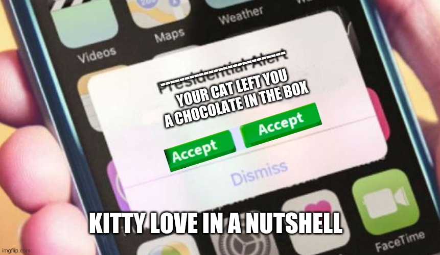 Presidential Alert | --------------------------; YOUR CAT LEFT YOU A CHOCOLATE IN THE BOX; KITTY LOVE IN A NUTSHELL | image tagged in memes,presidential alert | made w/ Imgflip meme maker