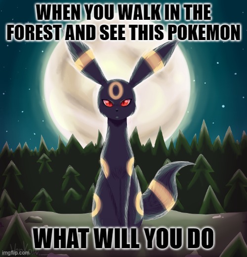 not a rp btw | WHEN YOU WALK IN THE FOREST AND SEE THIS POKEMON; WHAT WILL YOU DO | image tagged in umbreon unimpressed | made w/ Imgflip meme maker