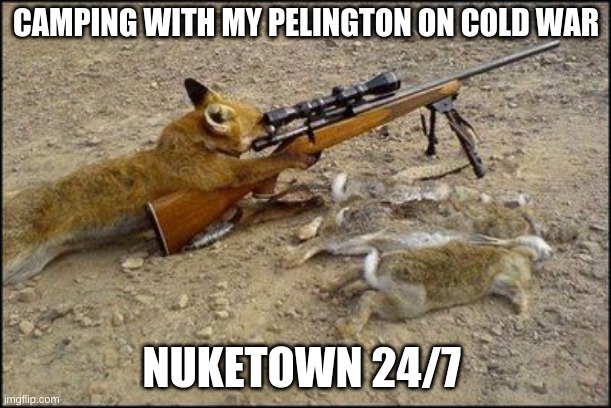 thats not me but it happens to me all the time | CAMPING WITH MY PELINGTON ON COLD WAR; NUKETOWN 24/7 | image tagged in fox with rifle,uh huh,sad times | made w/ Imgflip meme maker