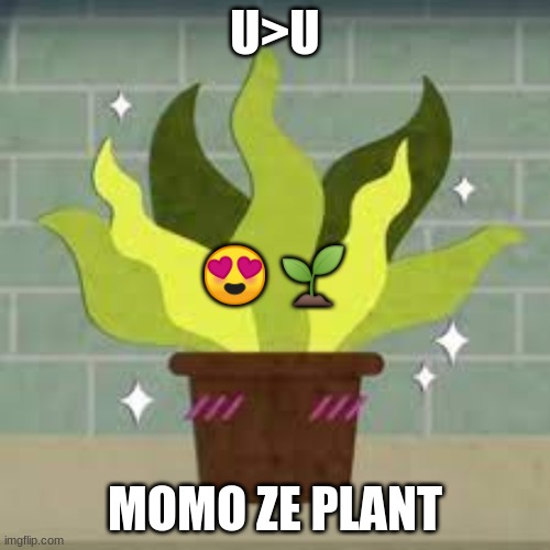 wow momo! |  U>U; 😍 🌱; MOMO ZE PLANT | made w/ Imgflip meme maker