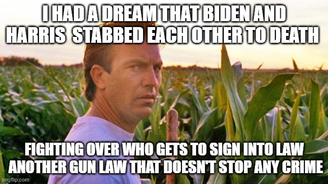 field of dreams | I HAD A DREAM THAT BIDEN AND HARRIS  STABBED EACH OTHER TO DEATH; FIGHTING OVER WHO GETS TO SIGN INTO LAW  ANOTHER GUN LAW THAT DOESN'T STOP ANY CRIME | image tagged in field of dreams | made w/ Imgflip meme maker