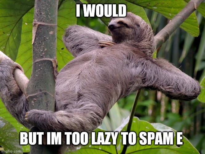 Lazy Sloth | I WOULD BUT IM TOO LAZY TO SPAM E | image tagged in lazy sloth | made w/ Imgflip meme maker