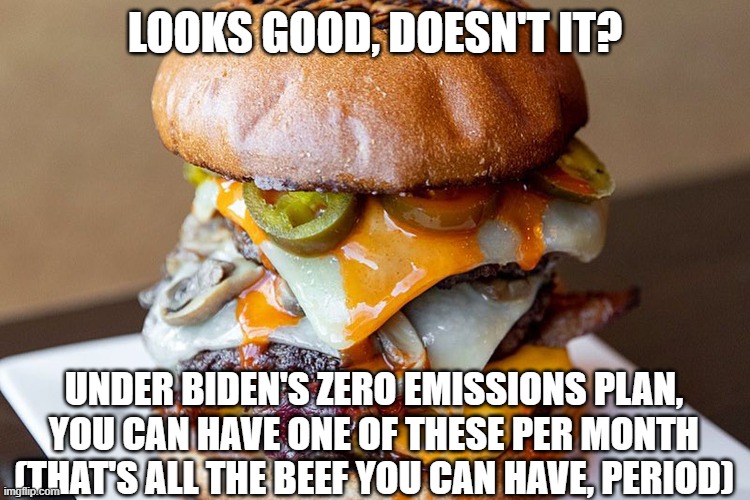 Banned Beef | LOOKS GOOD, DOESN'T IT? UNDER BIDEN'S ZERO EMISSIONS PLAN, YOU CAN HAVE ONE OF THESE PER MONTH (THAT'S ALL THE BEEF YOU CAN HAVE, PERIOD) | image tagged in beef,global warming,hamburger | made w/ Imgflip meme maker