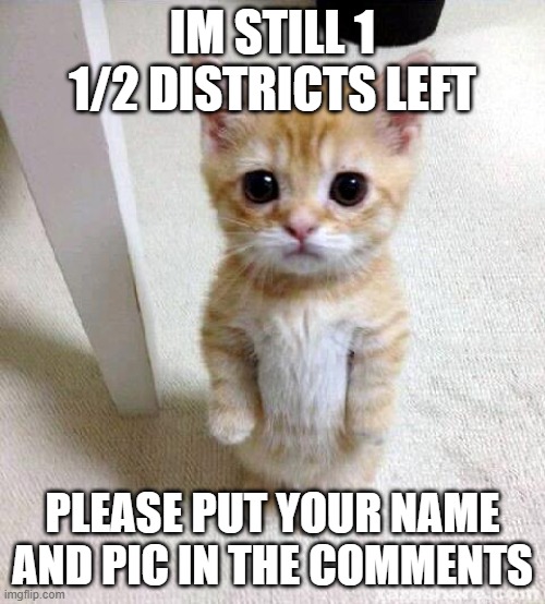 im still making my hunger games | IM STILL 1 1/2 DISTRICTS LEFT; PLEASE PUT YOUR NAME AND PIC IN THE COMMENTS | image tagged in memes,cute cat | made w/ Imgflip meme maker