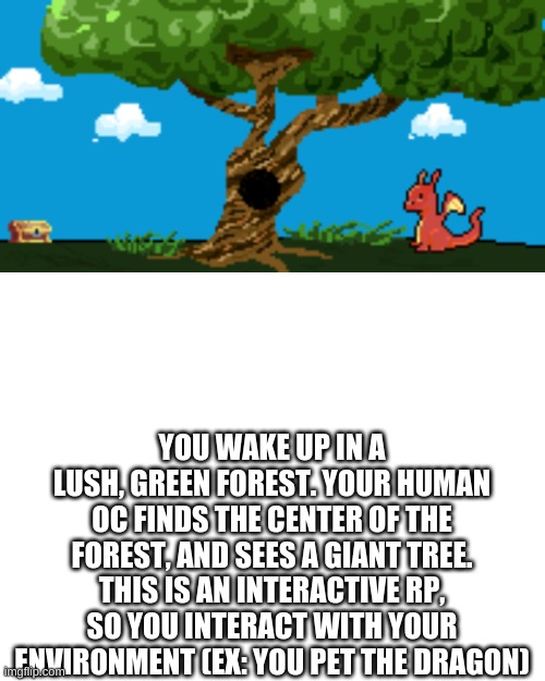 YOU WAKE UP IN A LUSH, GREEN FOREST. YOUR HUMAN OC FINDS THE CENTER OF THE FOREST, AND SEES A GIANT TREE. THIS IS AN INTERACTIVE RP, SO YOU INTERACT WITH YOUR ENVIRONMENT (EX: YOU PET THE DRAGON) | image tagged in blank white template | made w/ Imgflip meme maker