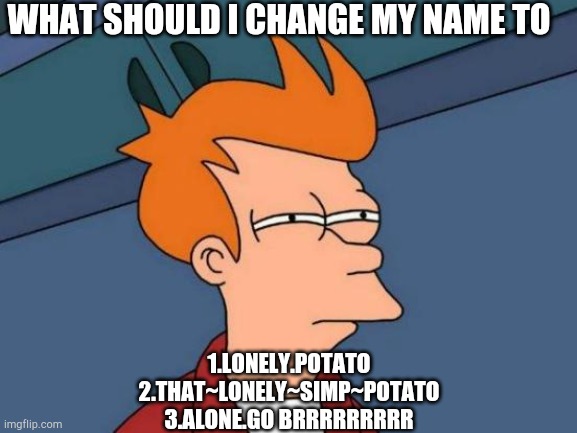 Futurama Fry | WHAT SHOULD I CHANGE MY NAME TO; 1.LONELY.POTATO
2.THAT~LONELY~SIMP~POTATO
3.ALONE.GO BRRRRRRRRR | image tagged in memes,futurama fry | made w/ Imgflip meme maker