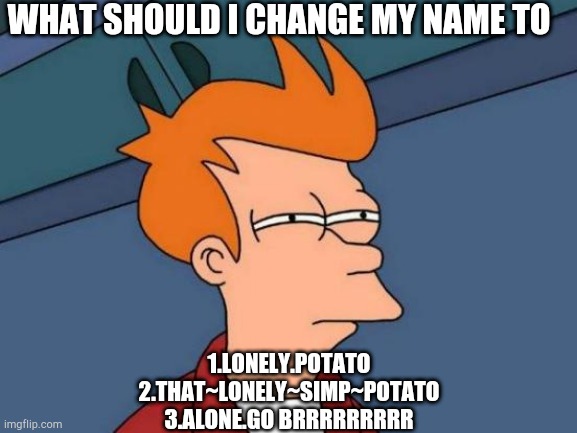 Futurama Fry | WHAT SHOULD I CHANGE MY NAME TO; 1.LONELY.POTATO
2.THAT~LONELY~SIMP~POTATO
3.ALONE.GO BRRRRRRRRR | image tagged in memes,futurama fry | made w/ Imgflip meme maker