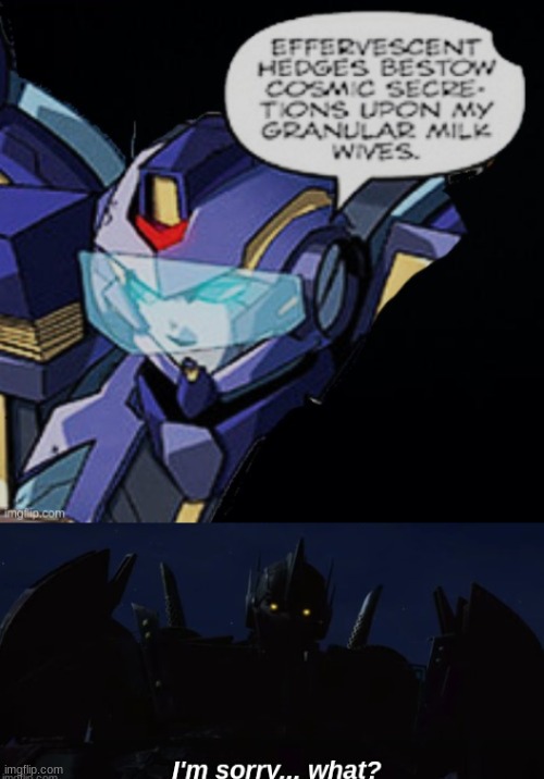 Idk if this is random or its just cringey | image tagged in i'm sorry what,random,cringe,comics/cartoons,transformers,nemesis | made w/ Imgflip meme maker