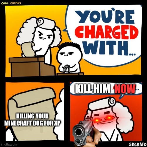 THIS IS A SERIOUS MOMENT. | NOW; KILL HIM; KILLING YOUR MINECRAFT DOG FOR XP | image tagged in execution | made w/ Imgflip meme maker