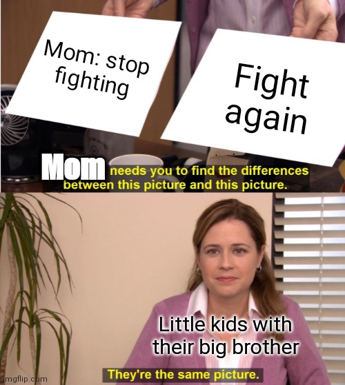 They're The Same Picture | Mom: stop fighting; Fight again; Mom; Little kids with their big brother | image tagged in memes,they're the same picture | made w/ Imgflip meme maker