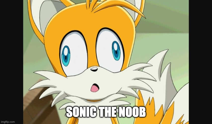 sonic- Derp Tails | SONIC THE NOOB | image tagged in sonic- derp tails | made w/ Imgflip meme maker
