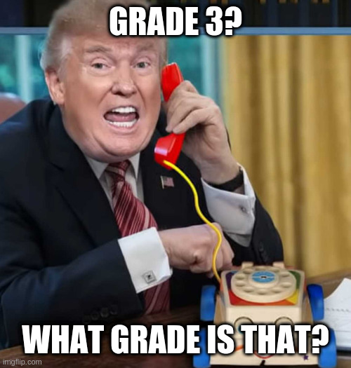I'm the president | GRADE 3? WHAT GRADE IS THAT? | image tagged in i'm the president | made w/ Imgflip meme maker