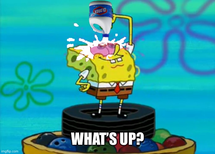 SpongeBob pouring bleach | WHAT’S UP? | image tagged in spongebob pouring bleach | made w/ Imgflip meme maker