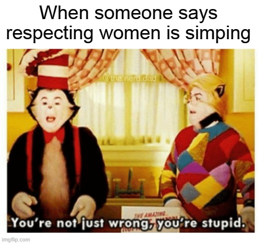 Women need to be respected, stop being sexist. |  When someone says respecting women is simping | image tagged in you're not just wrong your stupid | made w/ Imgflip meme maker