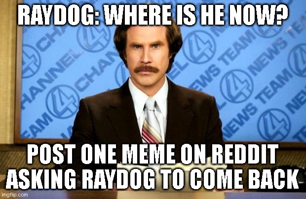RAYDOG COME BAAAAAAAAAAAAAAAAAAAAAAAAAAAAAAAAAAAAAAAAACK |  RAYDOG: WHERE IS HE NOW? POST ONE MEME ON REDDIT ASKING RAYDOG TO COME BACK | image tagged in breaking news,raydog | made w/ Imgflip meme maker