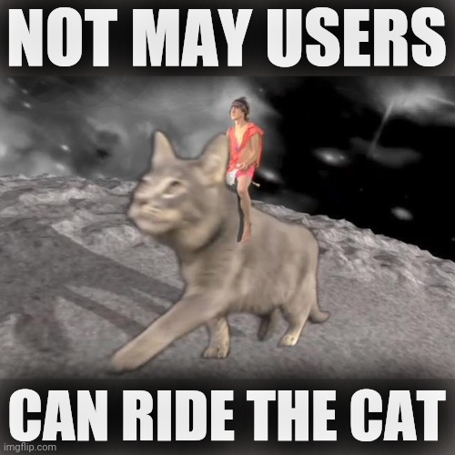 MGMT cat rider | NOT MAY USERS CAN RIDE THE CAT | image tagged in mgmt cat rider | made w/ Imgflip meme maker