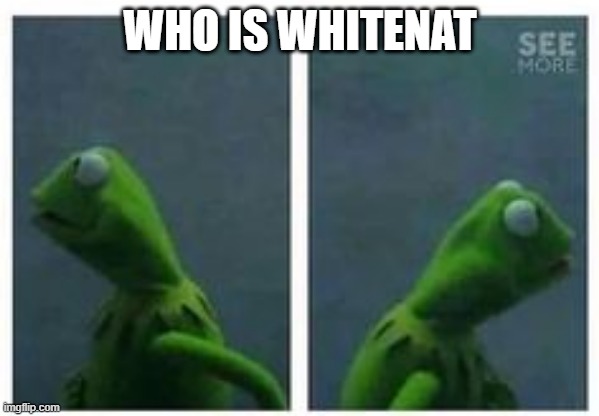 ive heard of him but i dont know who he is | WHO IS WHITENAT | image tagged in kermit looking left and right,whitenat | made w/ Imgflip meme maker